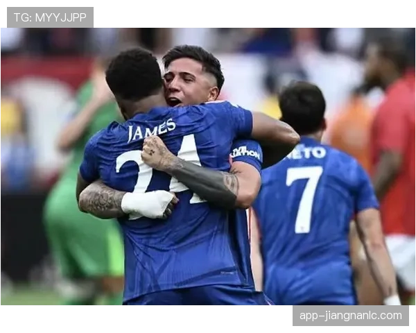 恩佐与麦卡利斯特世界杯中场角色分工及战术影响力解析